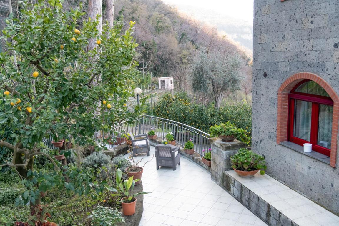 Sorrentovibes - Sea View Rooftop Apartment With Jacuzzi & Garden Exterior foto