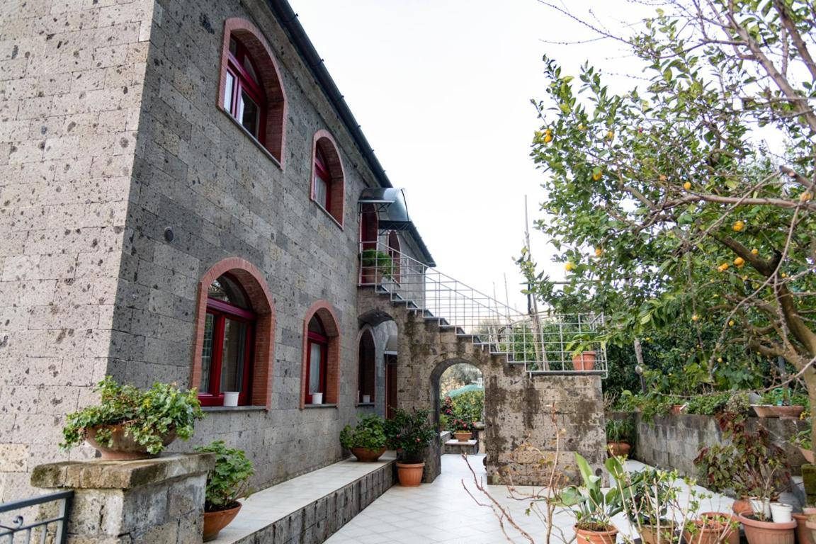 Sorrentovibes - Sea View Rooftop Apartment With Jacuzzi & Garden Exterior foto